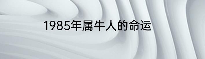 1985年属牛人的命运