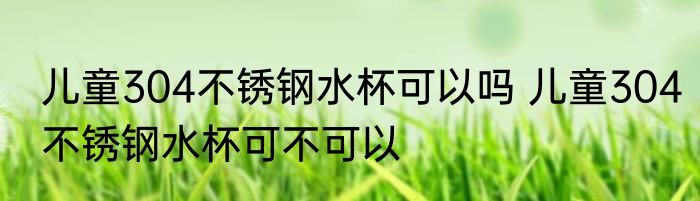 儿童304不锈钢水杯可以吗 儿童304不锈钢水杯可不可以