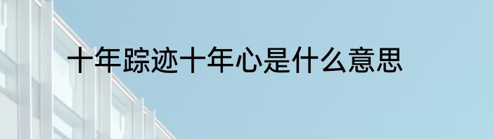 十年踪迹十年心是什么意思