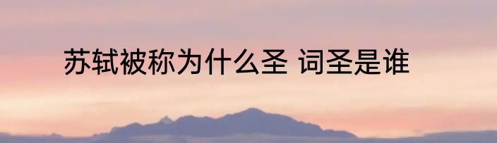 苏轼被称为什么圣 词圣是谁