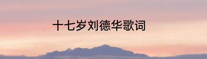 十七岁刘德华歌词