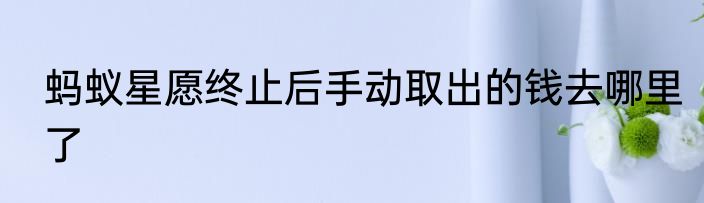 蚂蚁星愿终止后手动取出的钱去哪里了