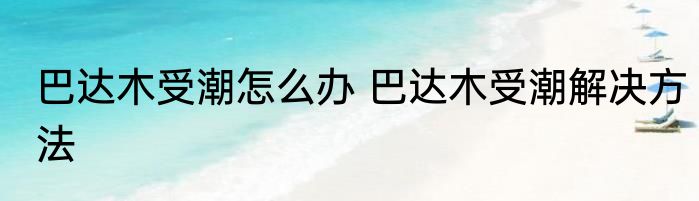 巴达木受潮怎么办 巴达木受潮解决方法