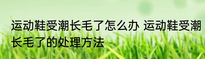 运动鞋受潮长毛了怎么办 运动鞋受潮长毛了的处理方法