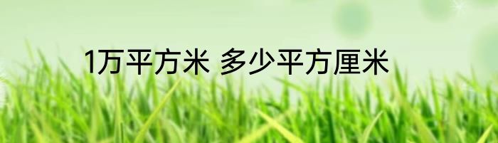 1万平方米 多少平方厘米