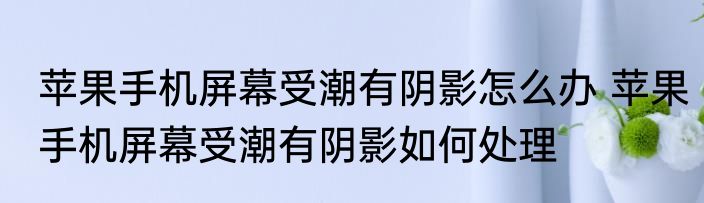 苹果手机屏幕受潮有阴影怎么办 苹果手机屏幕受潮有阴影如何处理