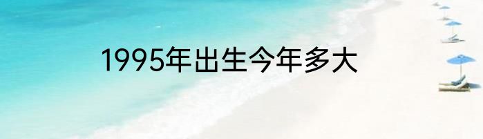1995年出生今年多大