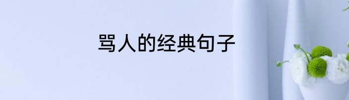 骂人的经典句子