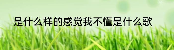 是什么样的感觉我不懂是什么歌
