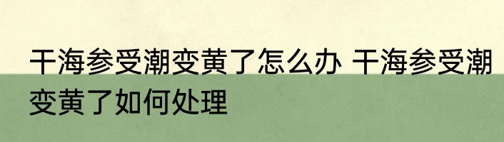 干海参受潮变黄了怎么办 干海参受潮变黄了如何处理