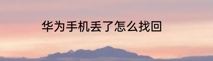 华为手机丢了怎么找回