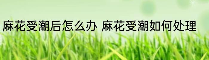 麻花受潮后怎么办 麻花受潮如何处理