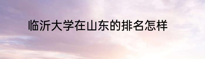 临沂大学在山东的排名怎样