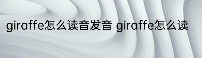 giraffe怎么读音发音 giraffe怎么读