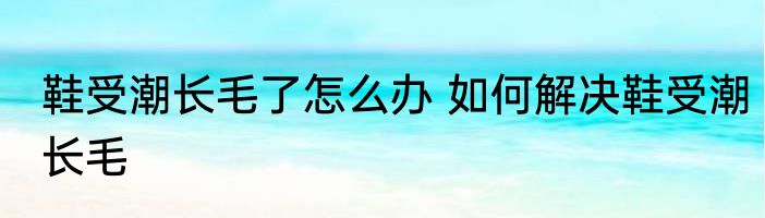 鞋受潮长毛了怎么办 如何解决鞋受潮长毛