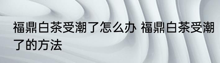 福鼎白茶受潮了怎么办 福鼎白茶受潮了的方法