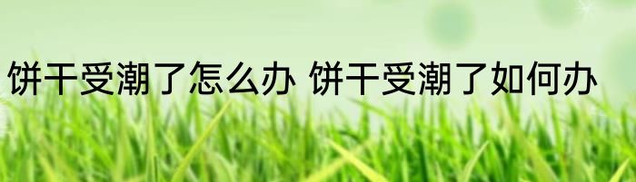 饼干受潮了怎么办 饼干受潮了如何办