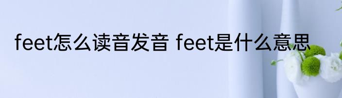 feet怎么读音发音 feet是什么意思