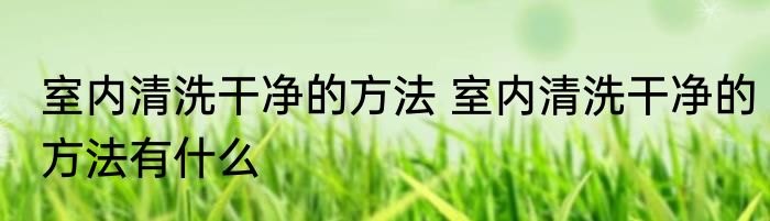 室内清洗干净的方法 室内清洗干净的方法有什么