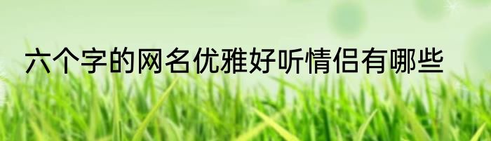 六个字的网名优雅好听情侣有哪些