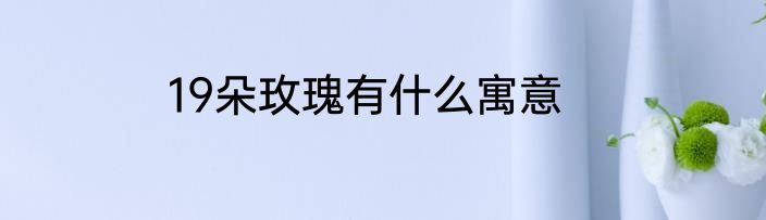 19朵玫瑰有什么寓意