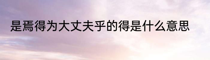 是焉得为大丈夫乎的得是什么意思