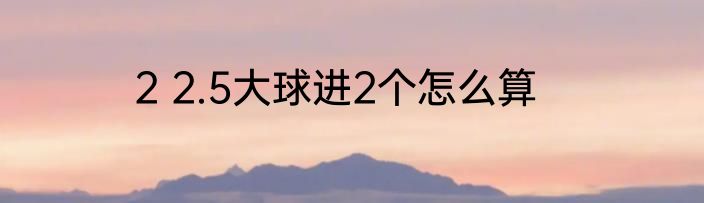 2 2.5大球进2个怎么算