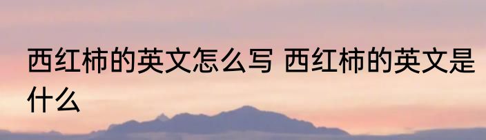 西红柿的英文怎么写 西红柿的英文是什么