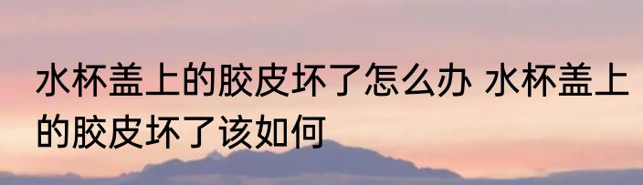 水杯盖上的胶皮坏了怎么办 水杯盖上的胶皮坏了该如何