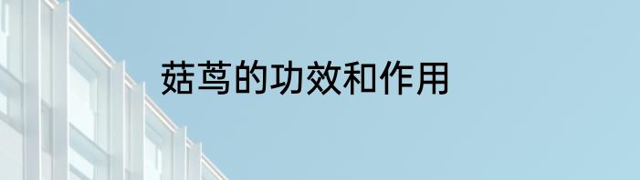 菇茑的功效和作用