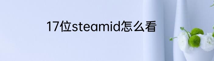17位steamid怎么看