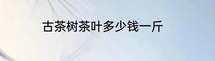 古茶树茶叶多少钱一斤