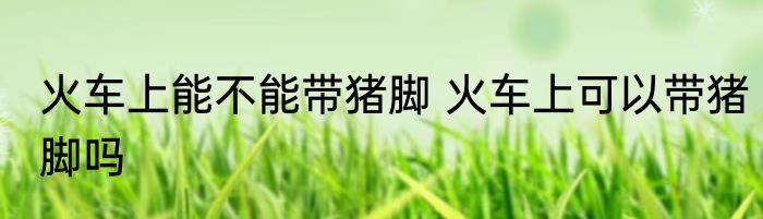 火车上能不能带猪脚 火车上可以带猪脚吗