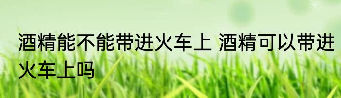 酒精能不能带进火车上 酒精可以带进火车上吗