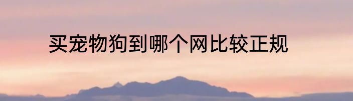 买宠物狗到哪个网比较正规