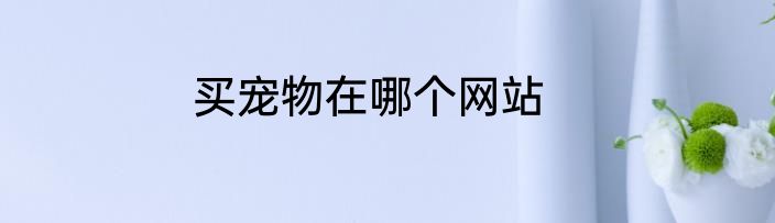 买宠物在哪个网站