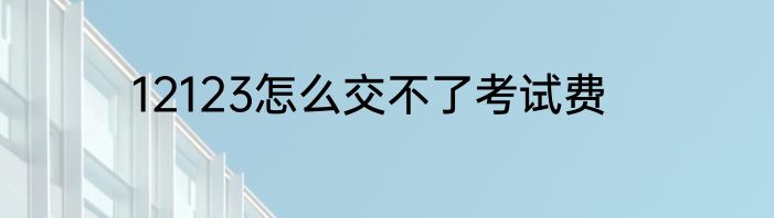 12123怎么交不了考试费