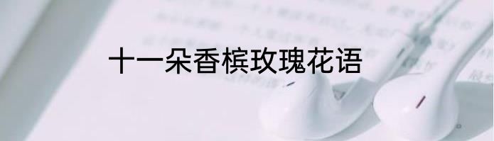 十一朵香槟玫瑰花语