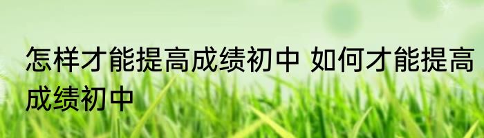 怎样才能提高成绩初中 如何才能提高成绩初中