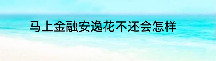 马上金融安逸花不还会怎样