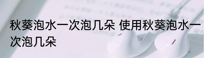 秋葵泡水一次泡几朵 使用秋葵泡水一次泡几朵