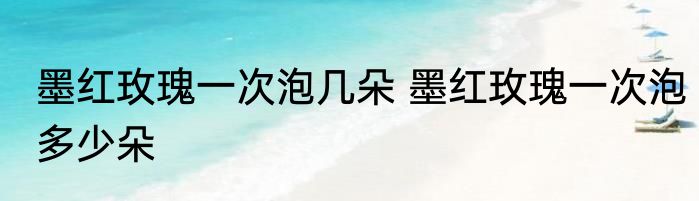 墨红玫瑰一次泡几朵 墨红玫瑰一次泡多少朵