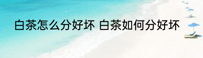 白茶怎么分好坏 白茶如何分好坏