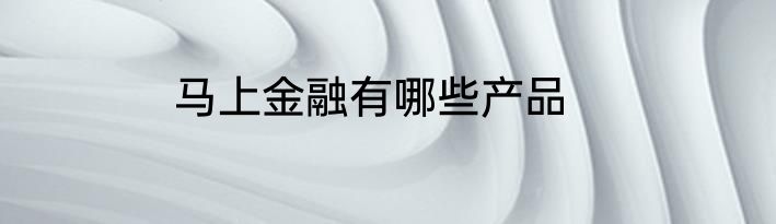 马上金融有哪些产品