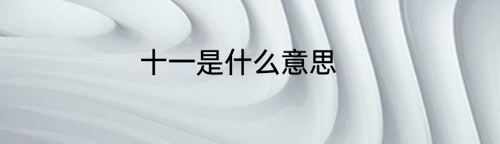 十一是什么意思