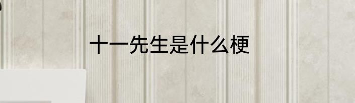 十一先生是什么梗