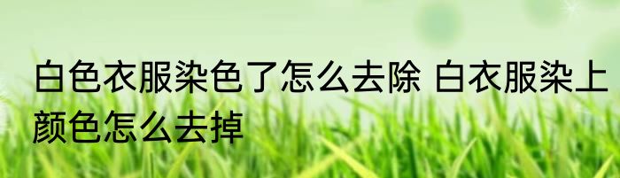 白色衣服染色了怎么去除 白衣服染上颜色怎么去掉
