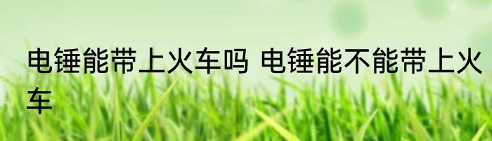 电锤能带上火车吗 电锤能不能带上火车