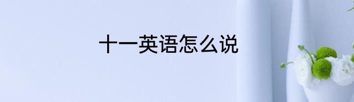 十一英语怎么说