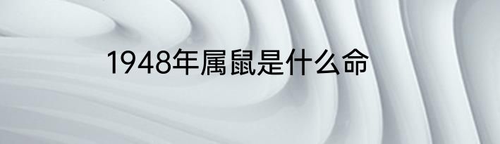 1948年属鼠是什么命